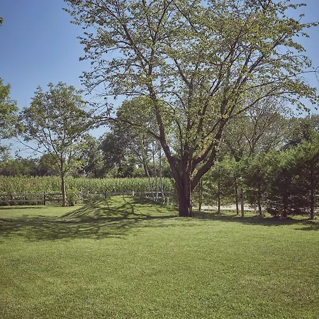 Σπίτι διακοπών Aqvae Unconventional Oglianico