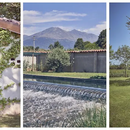 Aqvae Unconventional *